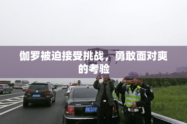 伽罗被迫接受挑战，勇敢面对爽的考验