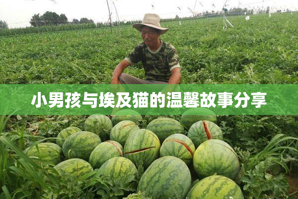小男孩与埃及猫的温馨故事分享