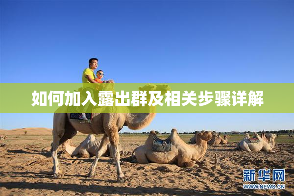 如何加入露出群及相关步骤详解