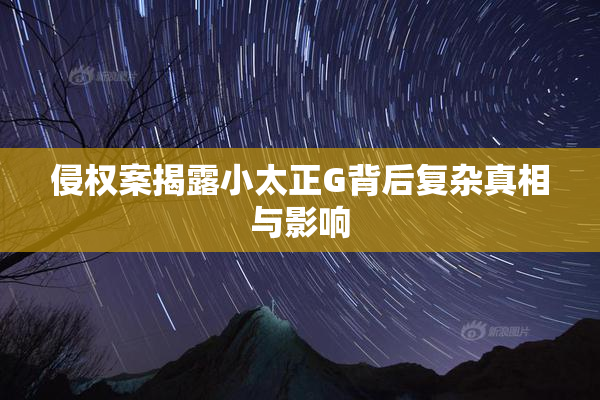 侵权案揭露小太正G背后复杂真相与影响