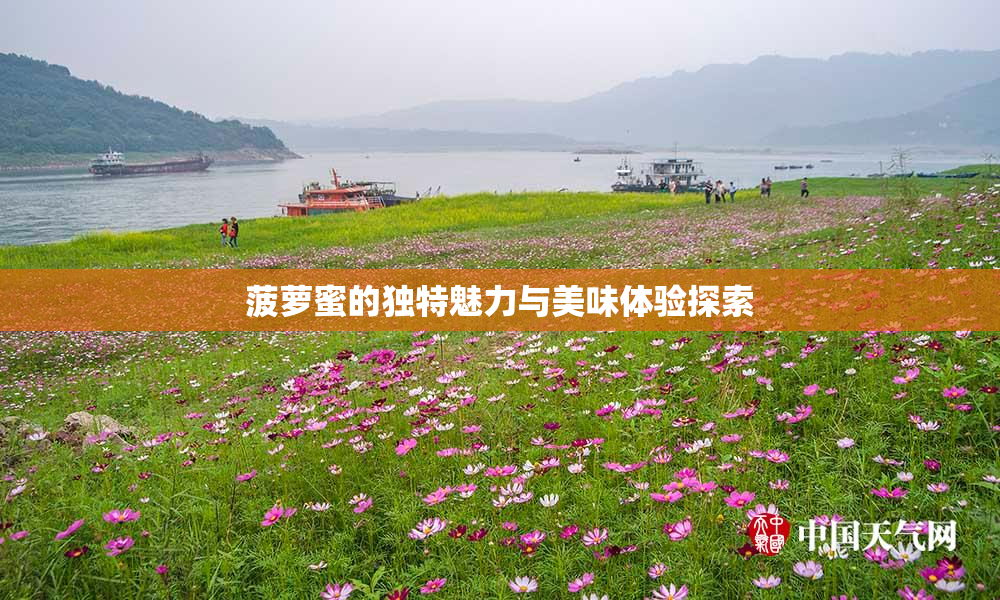 菠萝蜜的独特魅力与美味体验探索