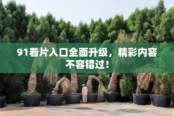 91看片入口全面升级，精彩内容不容错过！