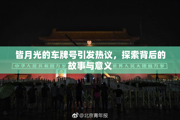皆月光的车牌号引发热议，探索背后的故事与意义