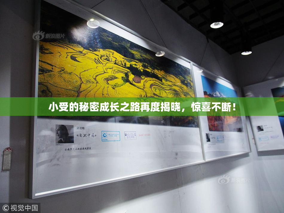 小受的秘密成长之路再度揭晓，惊喜不断！
