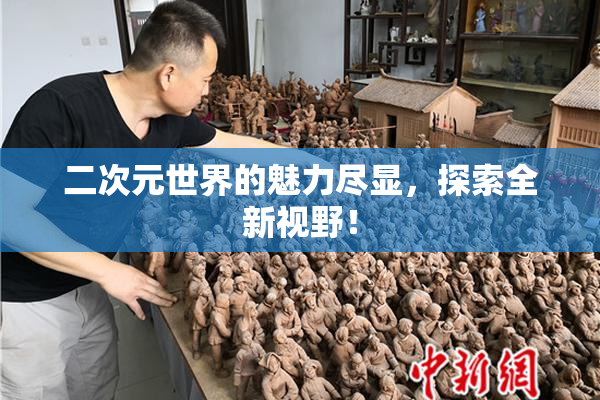二次元世界的魅力尽显，探索全新视野！