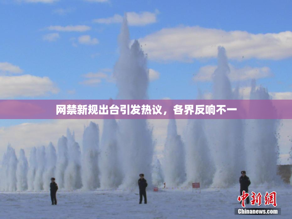 网禁新规出台引发热议，各界反响不一