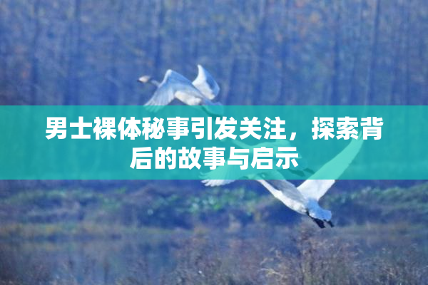 男士裸体秘事引发关注，探索背后的故事与启示