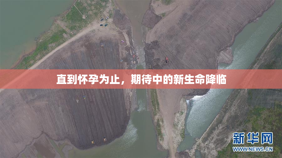 直到怀孕为止，期待中的新生命降临