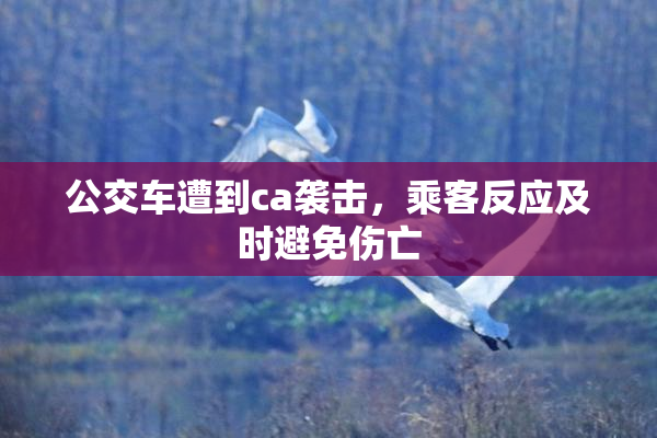 公交车遭到ca袭击，乘客反应及时避免伤亡