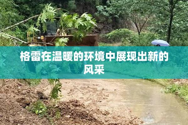 格雷在温暖的环境中展现出新的风采