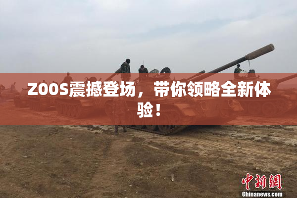 Z00S震撼登场，带你领略全新体验！