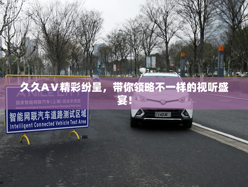 久久AⅤ精彩纷呈，带你领略不一样的视听盛宴！