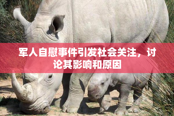军人自慰事件引发社会关注，讨论其影响和原因
