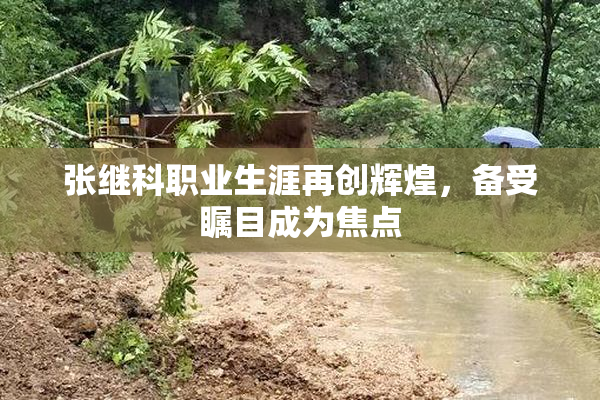 张继科职业生涯再创辉煌，备受瞩目成为焦点