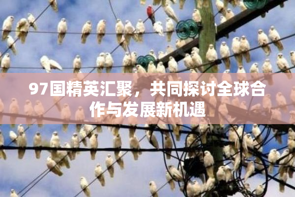 97国精英汇聚，共同探讨全球合作与发展新机遇