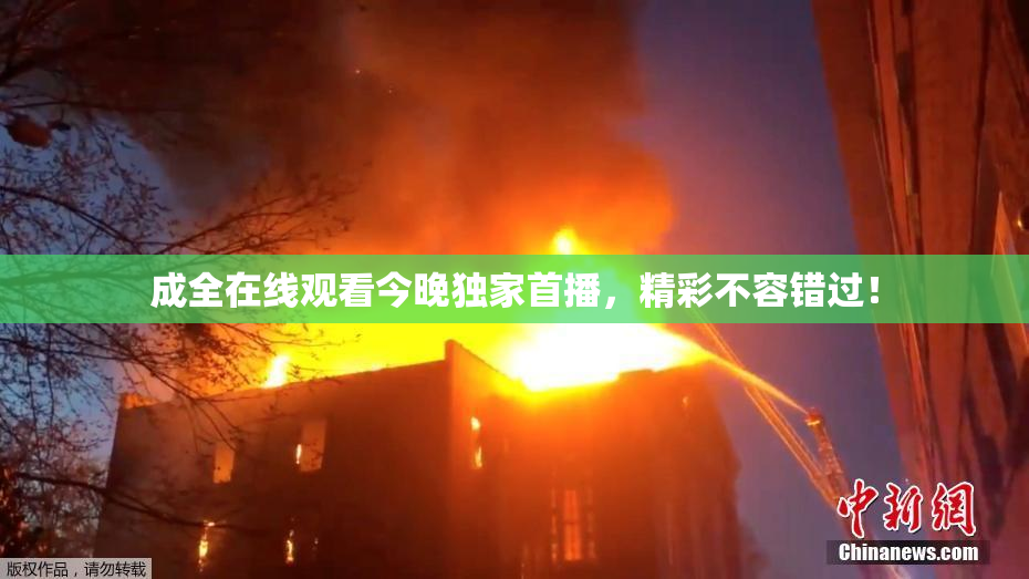 成全在线观看今晚独家首播，精彩不容错过！