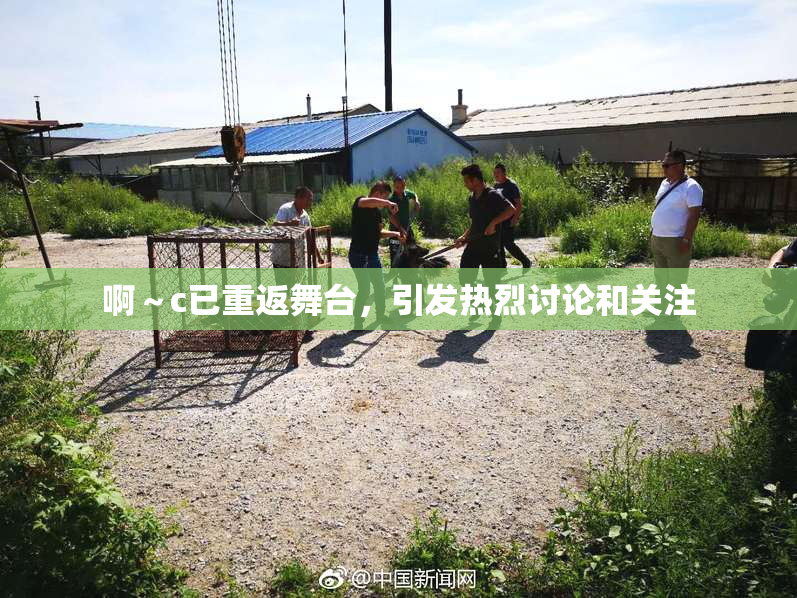 啊～c已重返舞台，引发热烈讨论和关注