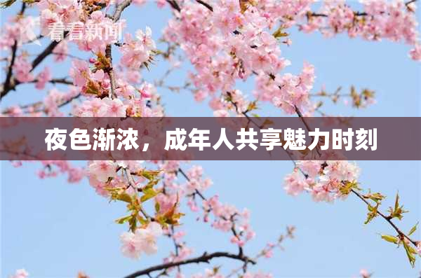 夜色渐浓，成年人共享魅力时刻
