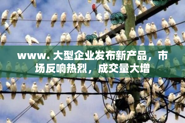www. 大型企业发布新产品，市场反响热烈，成交量大增