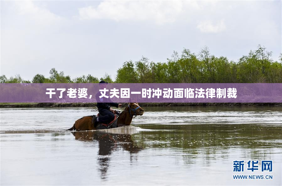 干了老婆，丈夫因一时冲动面临法律制裁