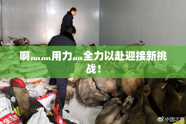 啊灬灬用力灬全力以赴迎接新挑战！
