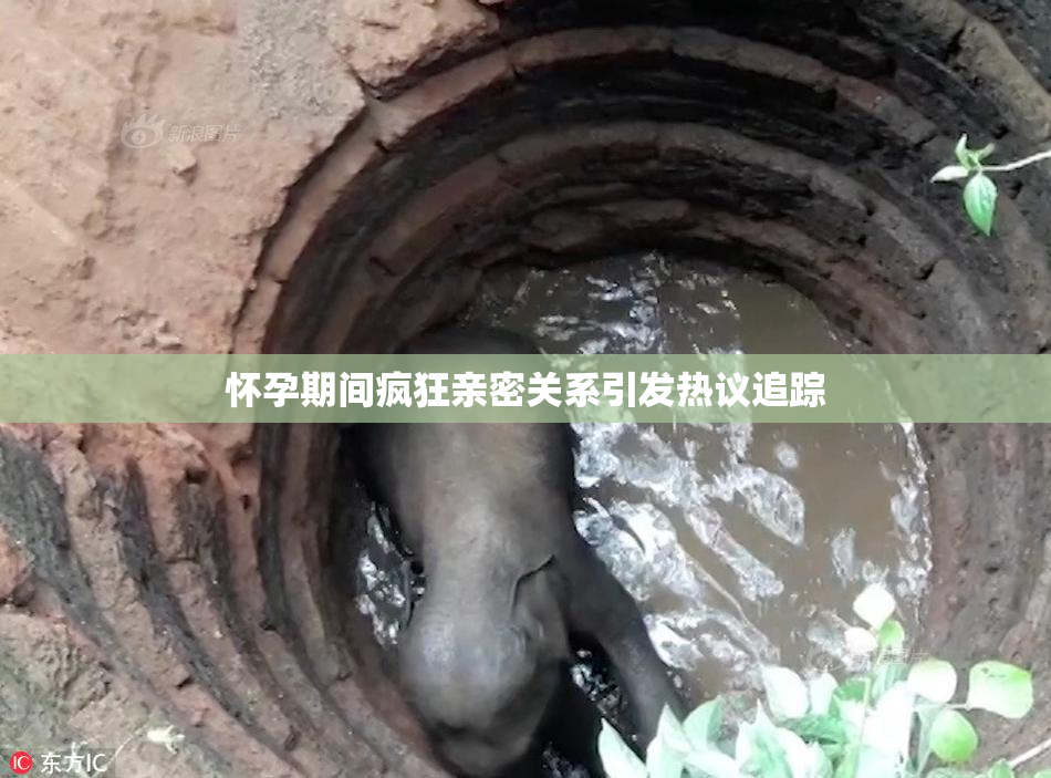 怀孕期间疯狂亲密关系引发热议追踪