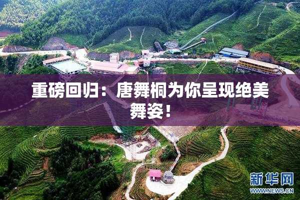 重磅回归：唐舞桐为你呈现绝美舞姿！