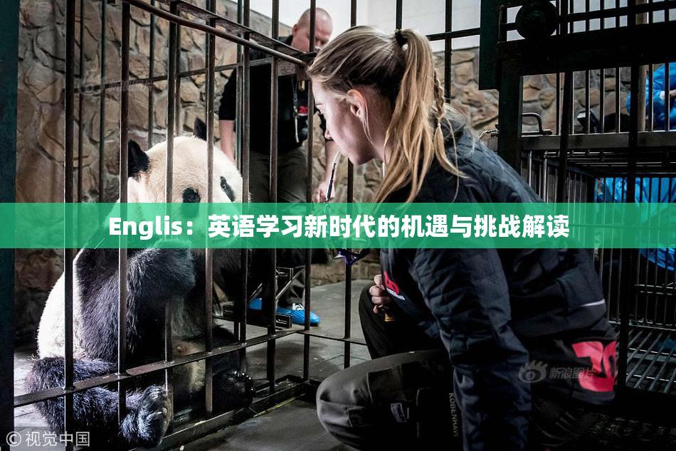 Englis：英语学习新时代的机遇与挑战解读