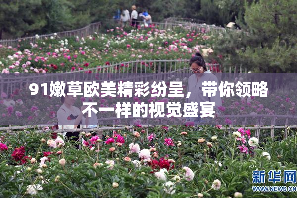 91嫩草欧美精彩纷呈，带你领略不一样的视觉盛宴