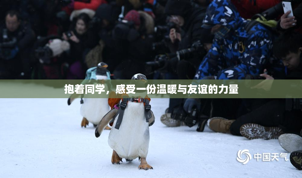 抱着同学，感受一份温暖与友谊的力量
