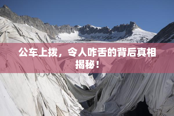 公车上拨，令人咋舌的背后真相揭秘！
