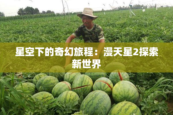 星空下的奇幻旅程：漫天星2探索新世界