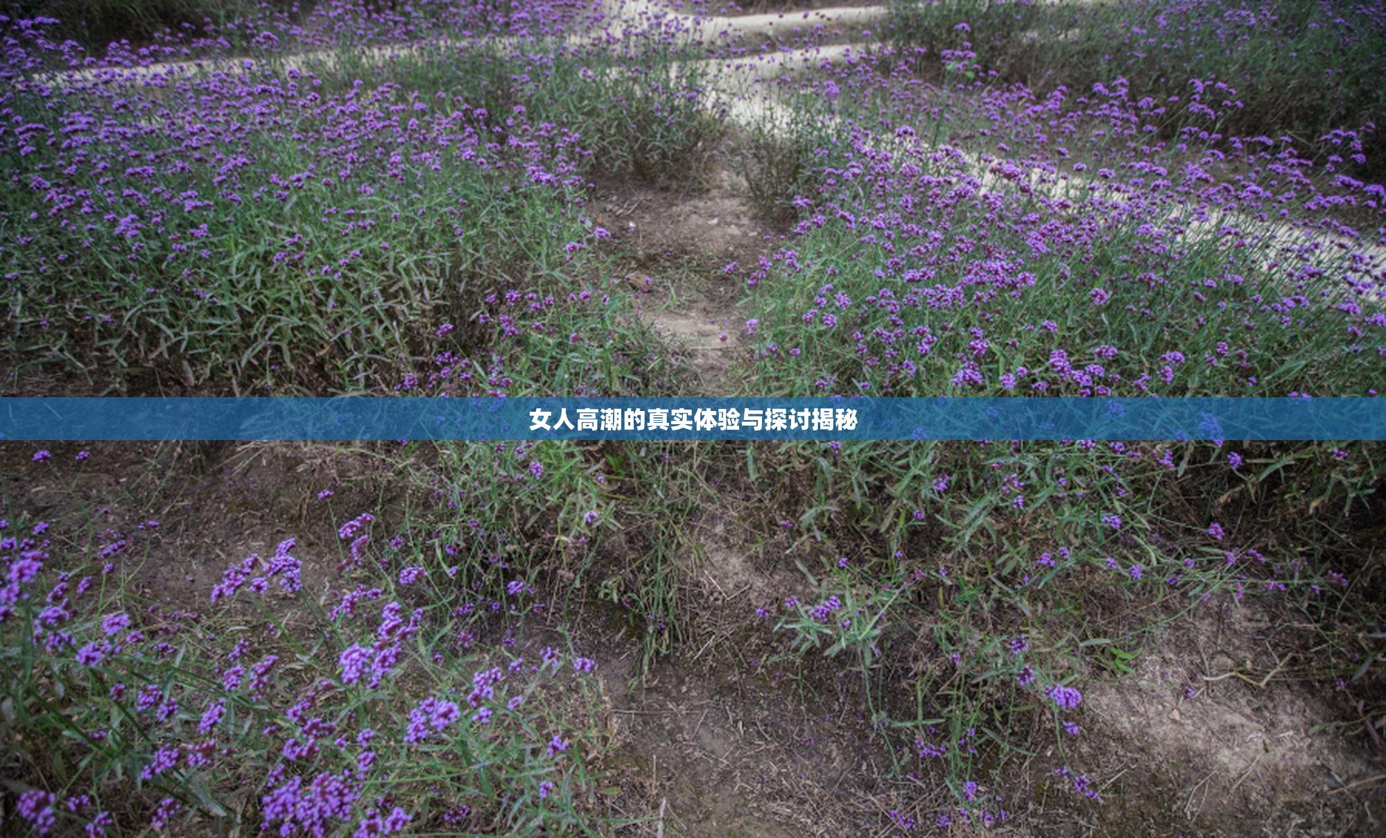 女人高潮的真实体验与探讨揭秘