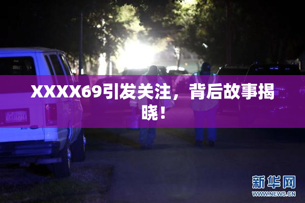 XXXX69引发关注，背后故事揭晓！