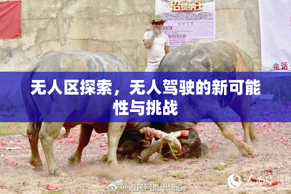 无人区探索，无人驾驶的新可能性与挑战