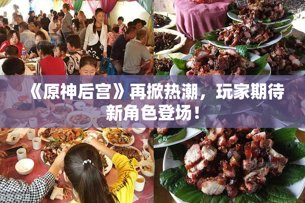 《原神后宫》再掀热潮，玩家期待新角色登场！