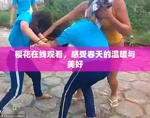 樱花在线观看，感受春天的温暖与美好