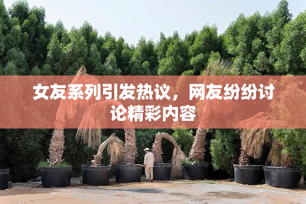 女友系列引发热议，网友纷纷讨论精彩内容