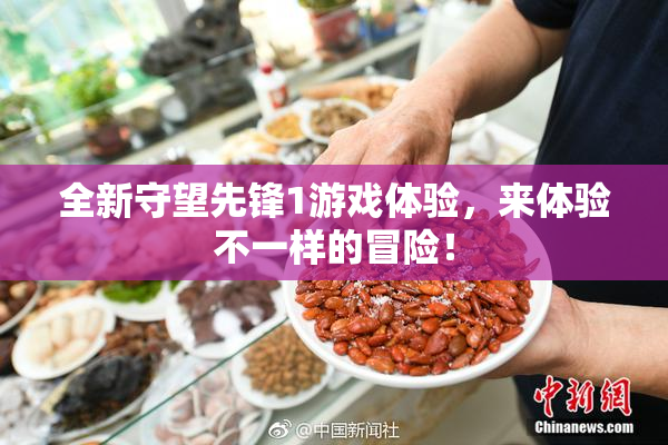 全新守望先锋1游戏体验，来体验不一样的冒险！