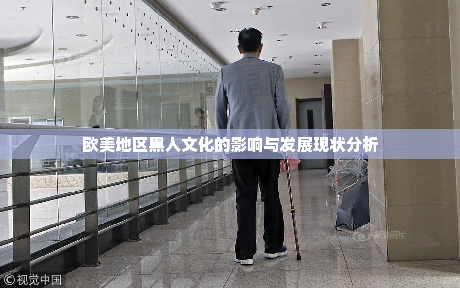 欧美地区黑人文化的影响与发展现状分析