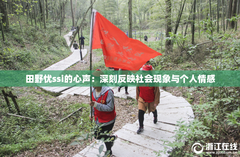 田野忧ssi的心声：深刻反映社会现象与个人情感