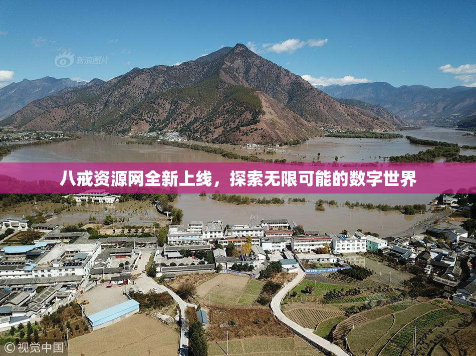 八戒资源网全新上线，探索无限可能的数字世界