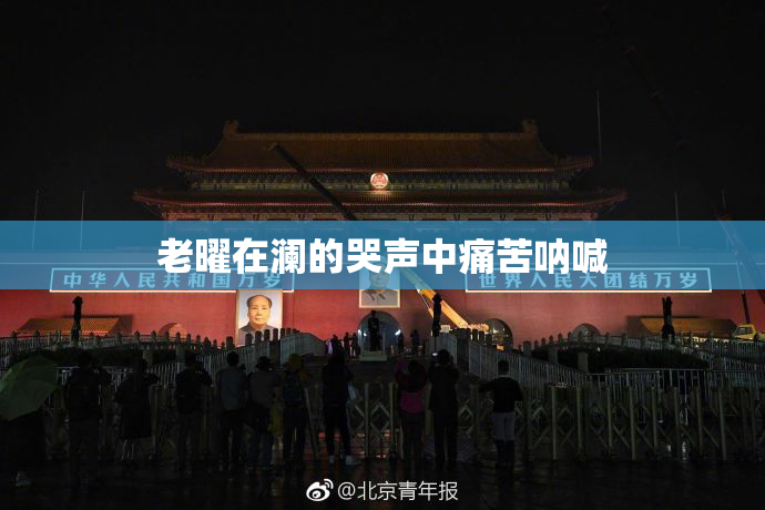 老曜在澜的哭声中痛苦呐喊