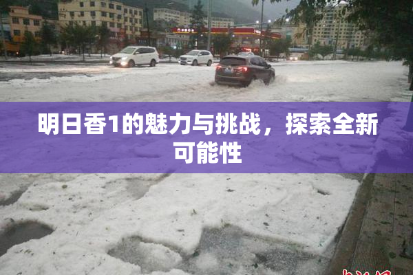 明日香1的魅力与挑战，探索全新可能性