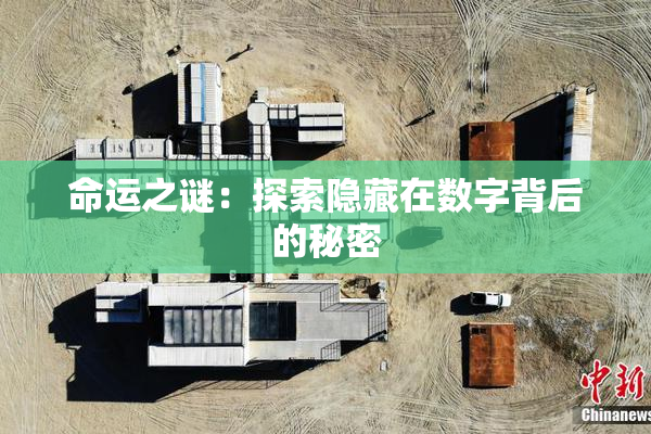 命运之谜：探索隐藏在数字背后的秘密