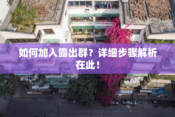 如何加入露出群？详细步骤解析在此！