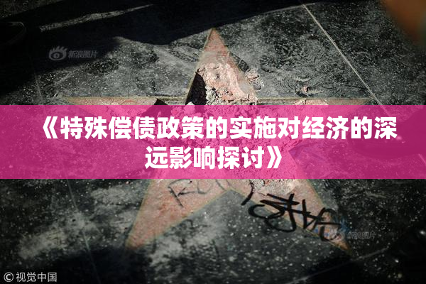 《特殊偿债政策的实施对经济的深远影响探讨》