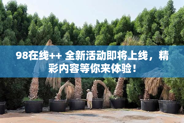 98在线++ 全新活动即将上线，精彩内容等你来体验！