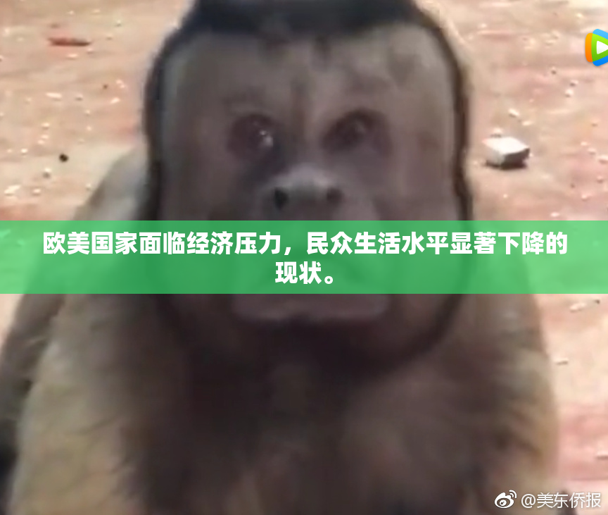 欧美国家面临经济压力，民众生活水平显著下降的现状。