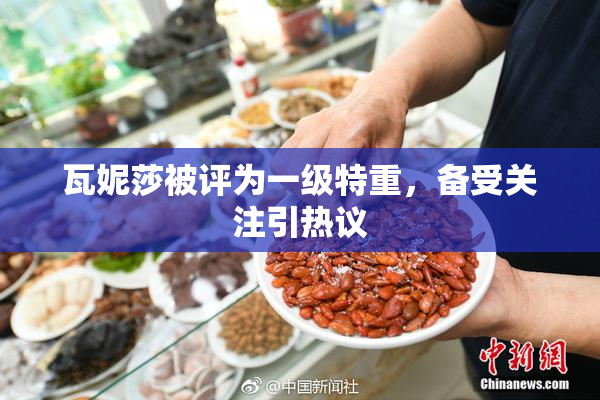 瓦妮莎被评为一级特重，备受关注引热议